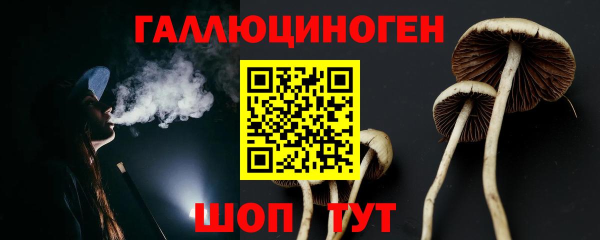 Галлюциногенные грибы Psilocybe  Вход с VPN  Новоуральск 